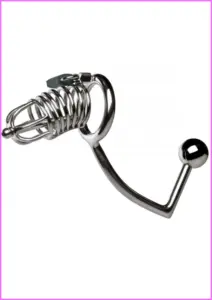 Anal hook